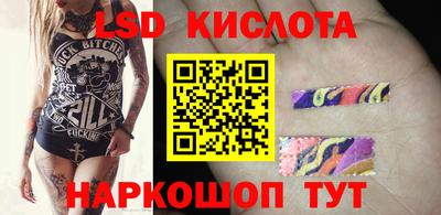 гашик Донской