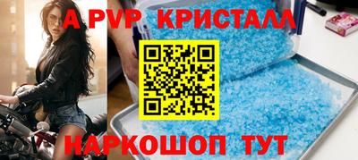 гашик Донской