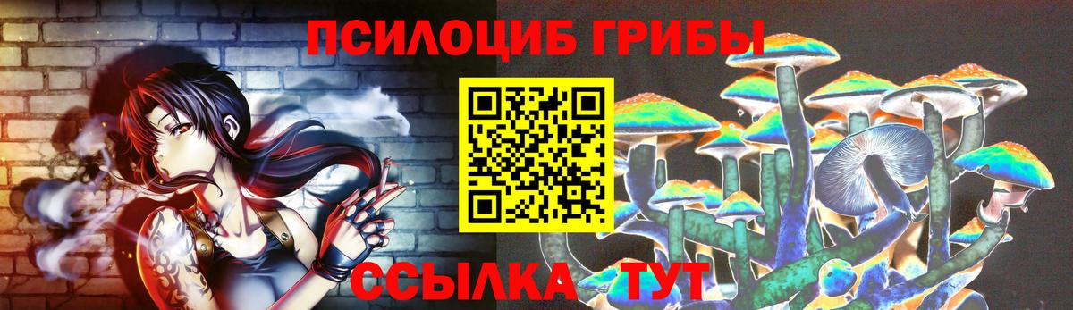 Псилоцибиновые грибы ЛСД Канск