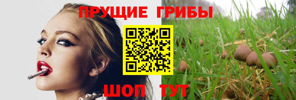 Галлюциногенные грибы ЛСД  Псилоцибиновые грибы Cubensis  Канск  Вход с VPN 